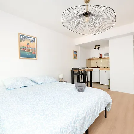 Le Petit Brienne, & Parking, Vue Canal * Toulouse